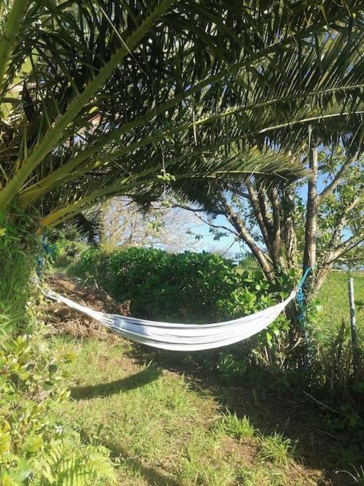 La casa azul: Un lugar mágico y acogedor en finca Juncedo Exterior foto