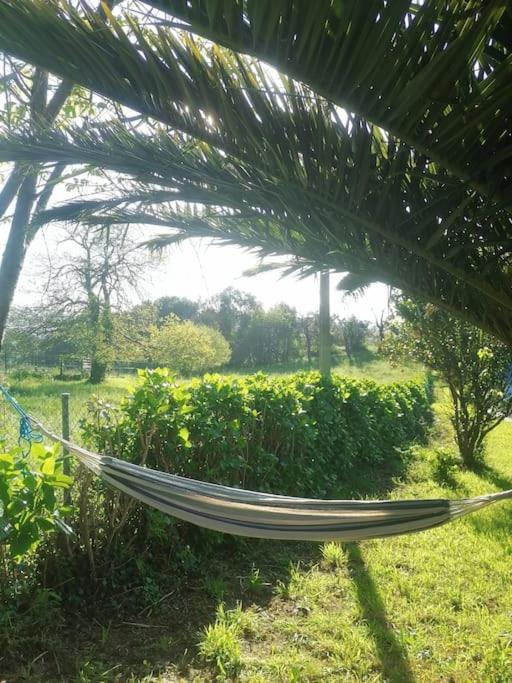 La casa azul: Un lugar mágico y acogedor en finca Juncedo Exterior foto